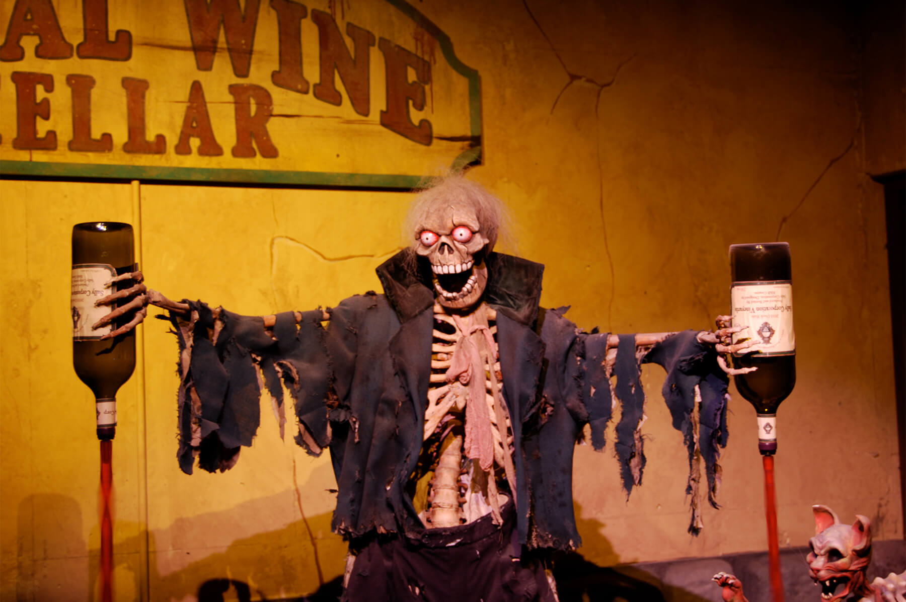 Haunted Castle Dark Ride Sally Dark Rides